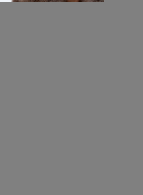 Длинная шуба из меха норки с капюшоном из меха куницы фото